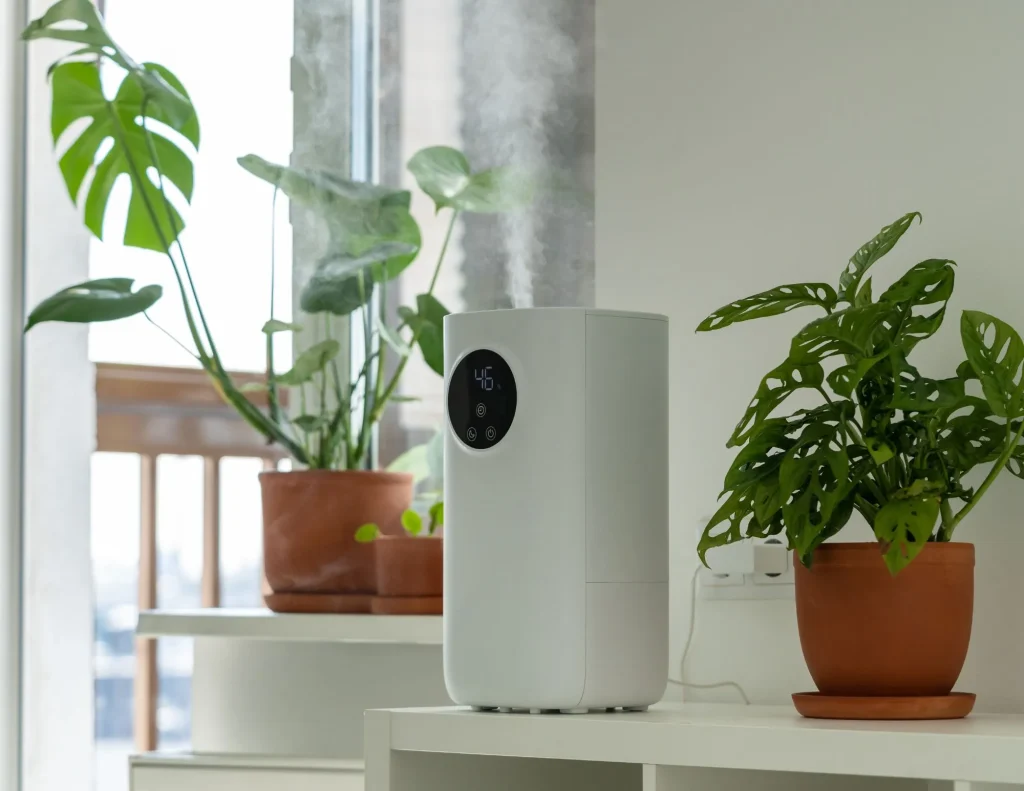 Houseplant humidity guide