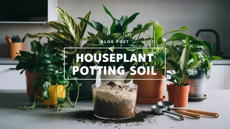 Houseplant potting soil