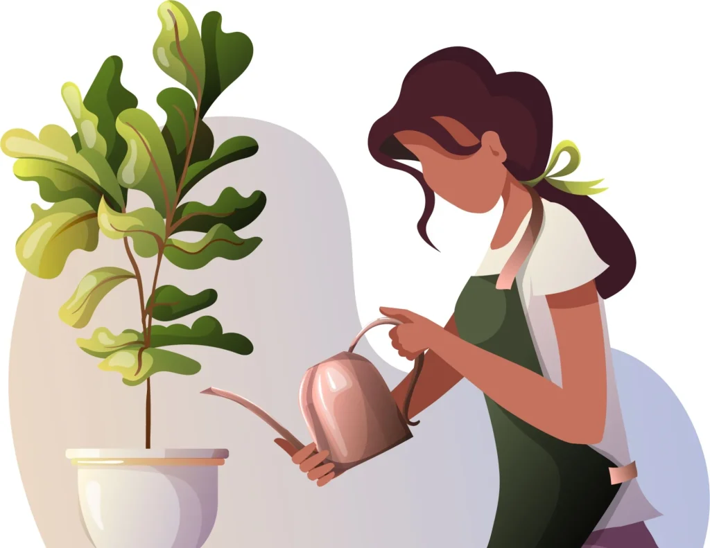 Houseplant watering basics