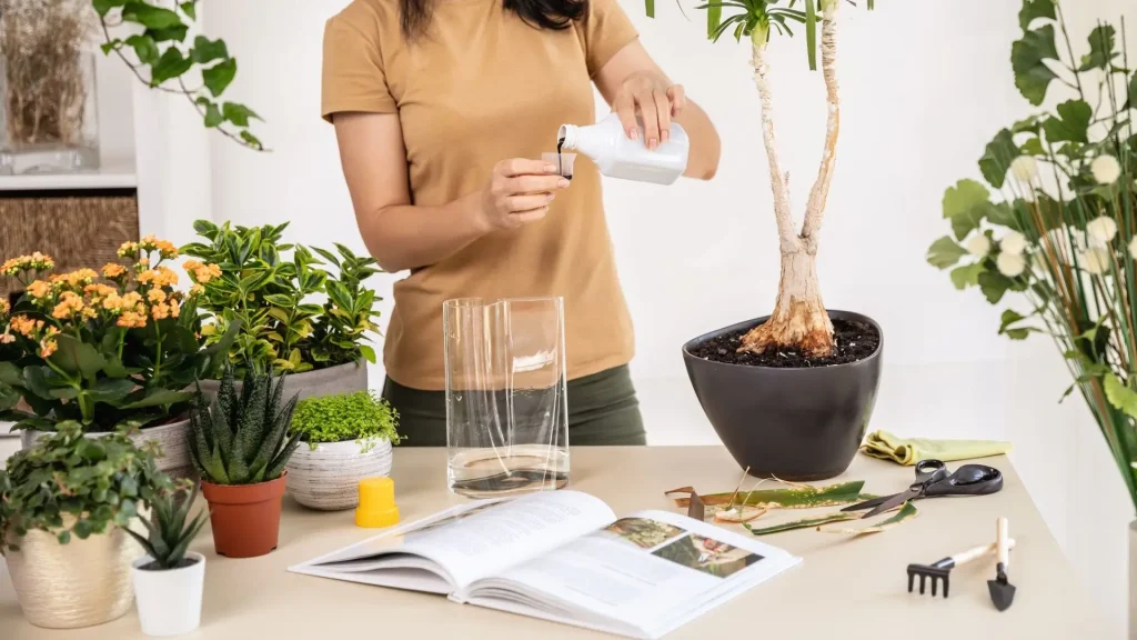 Liquid fertilizer for houseplants