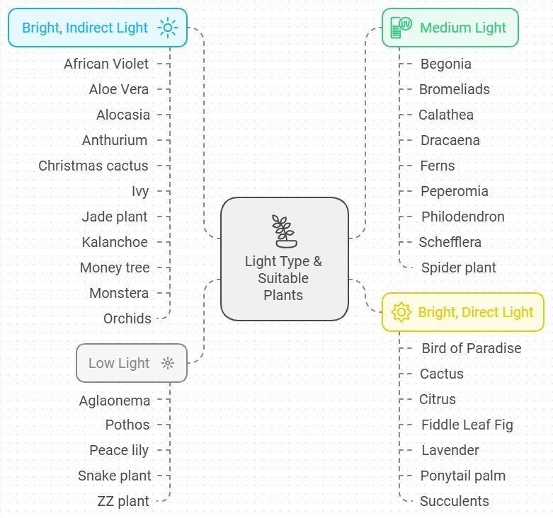Plant-List-by-Light-category