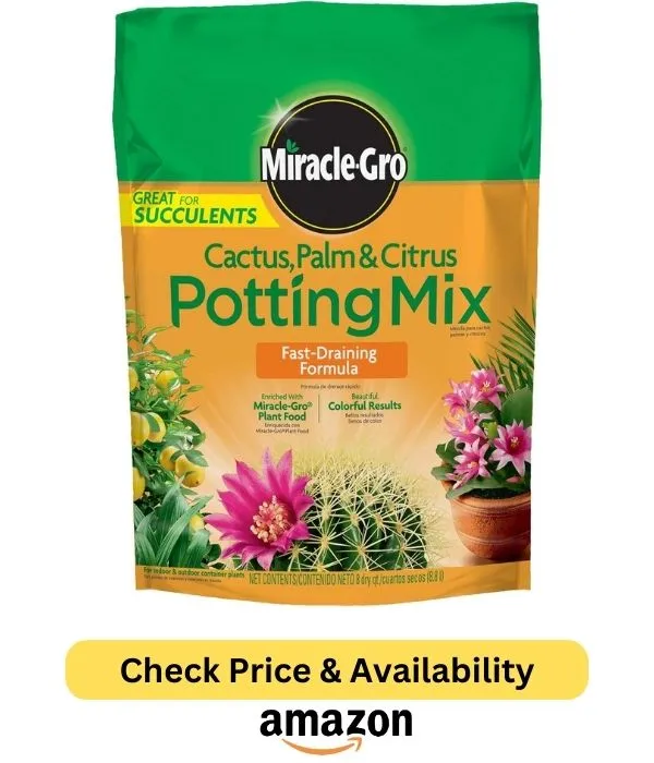 Houseplant Potting mix succulents and cacti