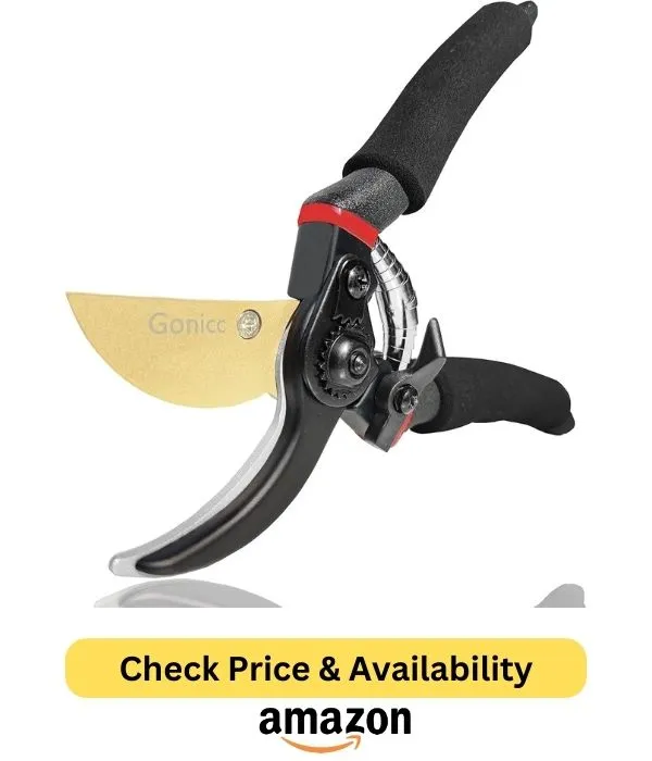 Pruning Shear
